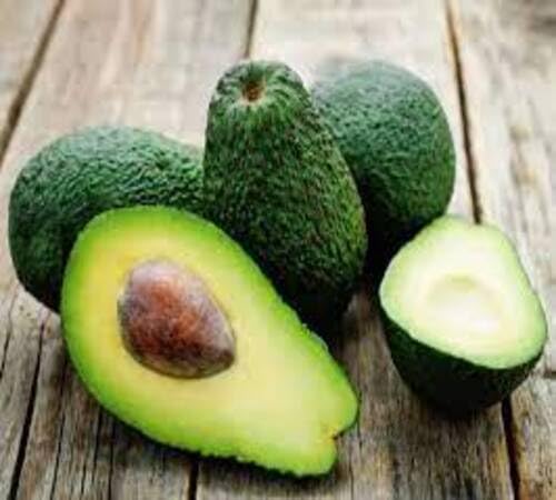 Green Avocado Seeds – Heirloom, Non-GMO, High Germination Organic Garden Seeds