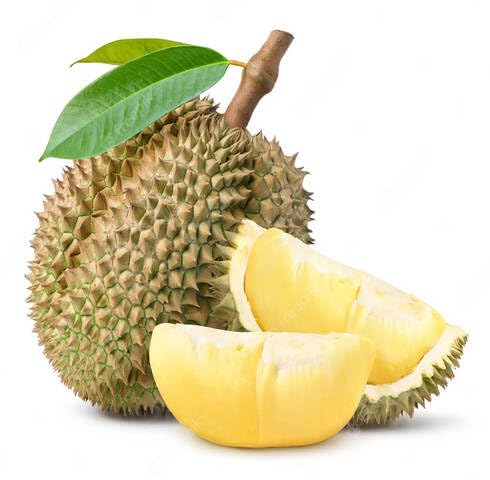 Yellow Durian Seeds – Heirloom, Non-GMO, High Germination Organic Garden Seeds