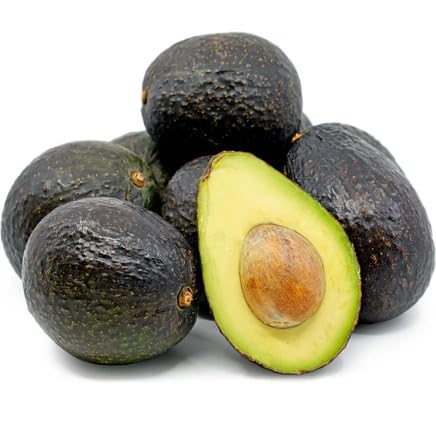 Black Avocado Seeds – Heirloom, Non-GMO, High Germination Organic Garden Seeds