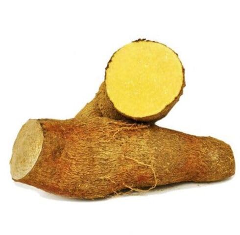 Yellow Yam Seeds – Heirloom, Non-GMO, High Germination Organic Garden Seeds Planting