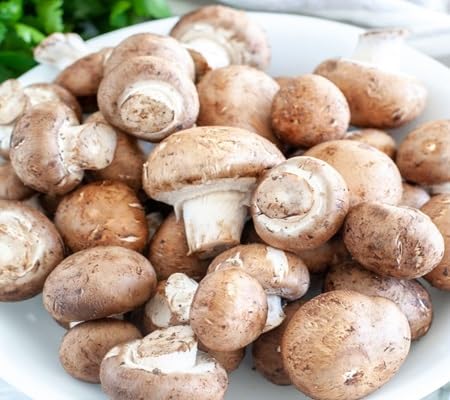 Pilzsamen – Alte Sorte, Non-GMO, hochkeimfähig, Bio-Gartensamen zum Pflanzen