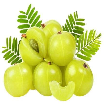 Green Gooseberry Plant Seeds – Heirloom, Non-GMO, High Germination Organic Garden Seeds