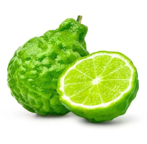 Green Bergamot Seeds Heirloom Non-GMO High Germination Organic Garden Seeds for Planting