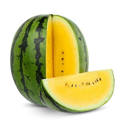 Watermelon Seeds Yellow for Planting | Heirloom Non-GMO Organic Garden Seeds