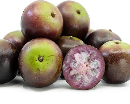 Caimito Seeds – Heirloom, Non-GMO, High Germination Organic Garden Seeds