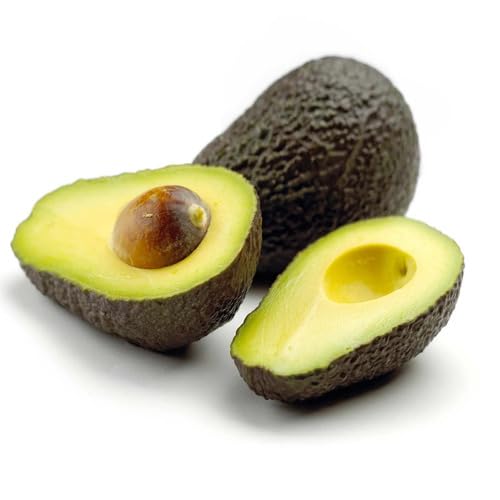 Black Avocado Seeds – Heirloom, Non-GMO, High Germination Organic Garden Seeds