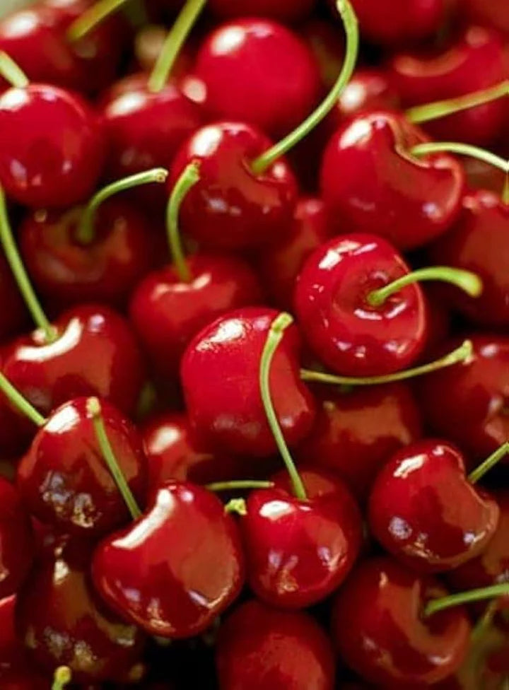 Barry’s Cherry Fruit Seeds for Planting – Heirloom Non-GMO High Germination Organic Garden Seeds Sweet Juicy Cherries 100 pcs Seeds for Planting