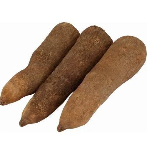 Brown Yam Seeds – Heirloom, Non-GMO, High Germination Organic Garden Seeds Planting