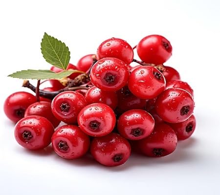 Hawthorn Seeds – Heirloom Non-GMO High Germination Organic Garden Seeds for Planting