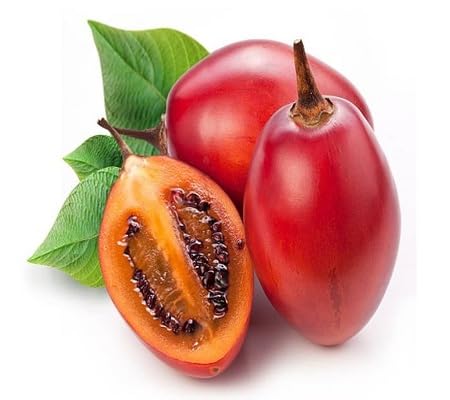 Tamarillo Seeds – Heirloom, Non-GMO, High Germination Organic Garden Seeds