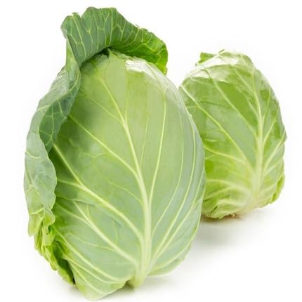 Green Cabbage Seeds – Heirloom, Non-GMO, High Germination Organic Garden Seeds Planting