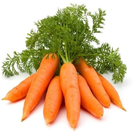 Orange Carrot Seeds – Heirloom, Non-GMO, High Germination Organic Garden Seeds Planting
