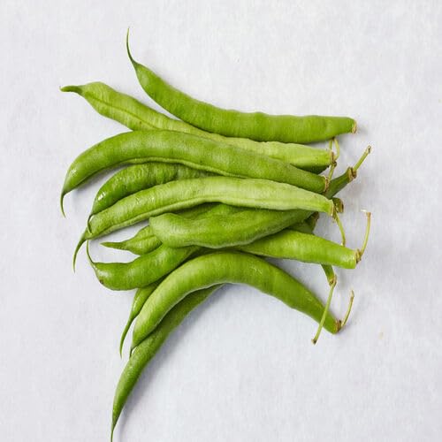 Green Bean Seeds – Heirloom, Non-GMO, High Germination Organic Garden Seeds Planting