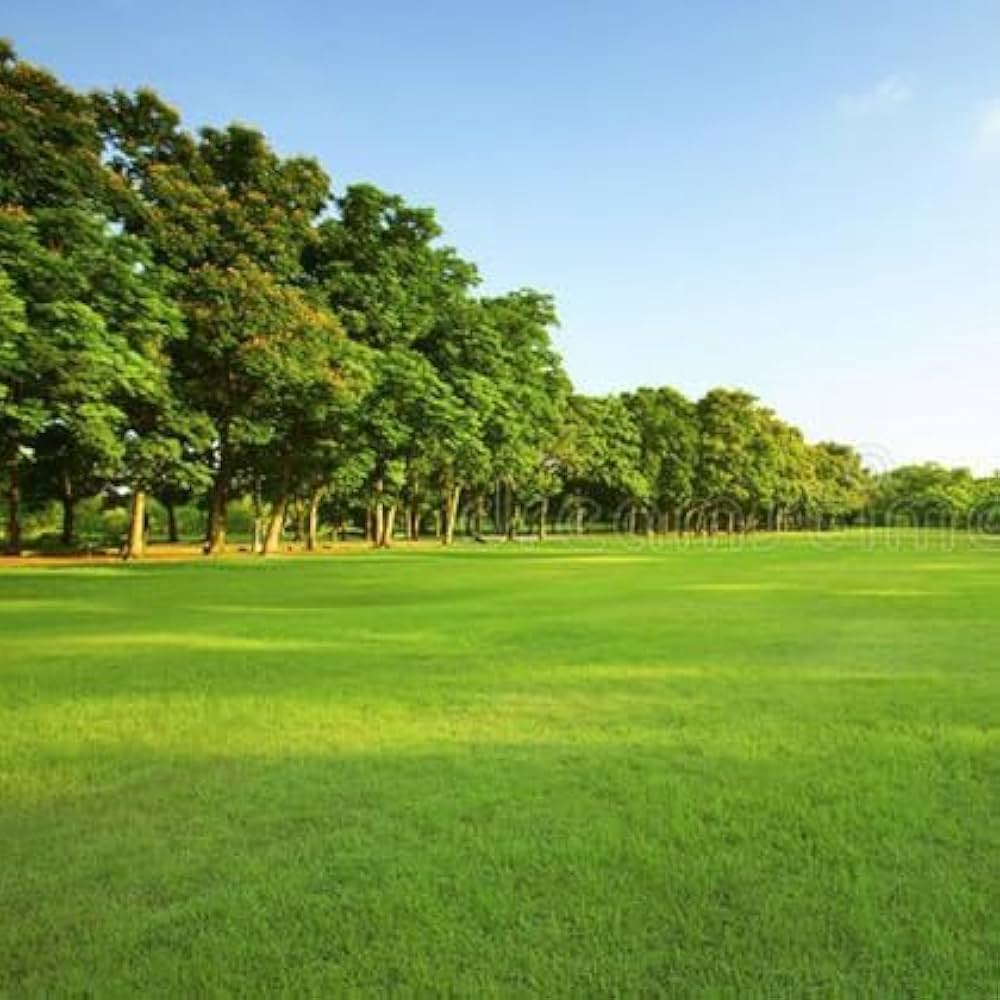turfgrass evergreen flower seeds