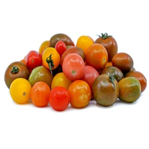 Mixed Tomato Seeds – Heirloom, Non-GMO, High Germination Organic Garden Seeds Planting