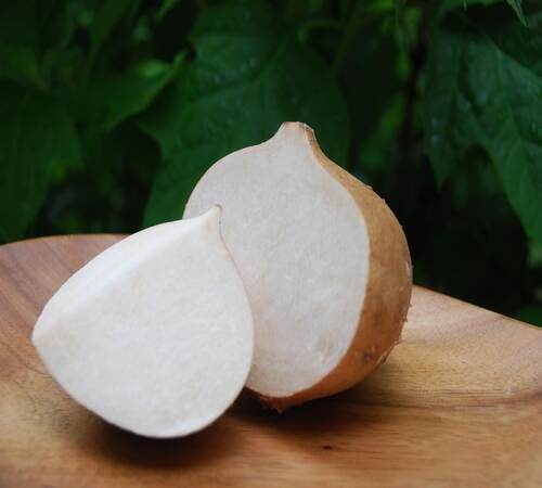 Brown Jicama Seeds – Heirloom, Non-GMO, High Germination Organic Garden Seeds Planting