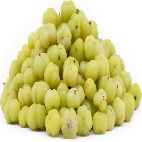 Gooseberry Seeds – Heirloom, Non-GMO, High Germination Organic Garden Seeds