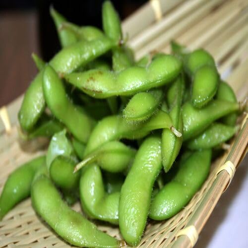 Green Soybean Seeds – Heirloom, Non-GMO, High Germination Organic Garden Seeds Planting