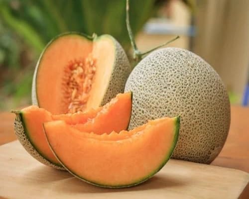 Muskmelon Seeds Orange – Heirloom, Non-GMO, High Germination Organic Garden Seeds