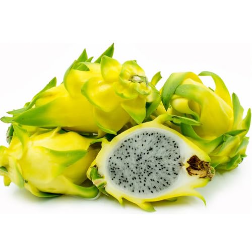 Dragon Seeds Yellow Heirloom Non-GMO High Germination Organic Garden Seeds for Planting