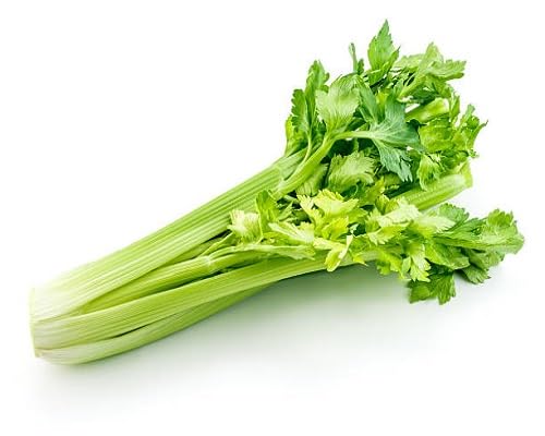 Celery Seeds – Heirloom, Non-GMO, High Germination Organic Garden Seeds Planting