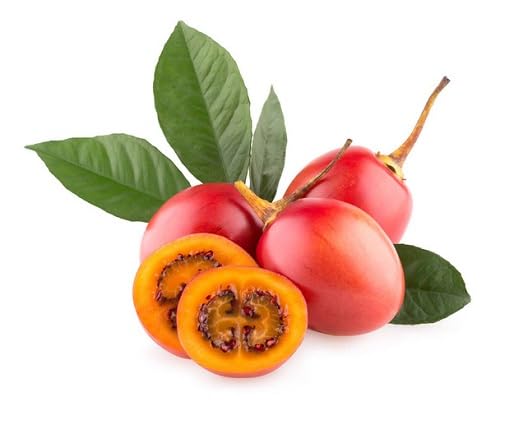 Tamarillo Seeds – Heirloom, Non-GMO, High Germination Organic Garden Seeds