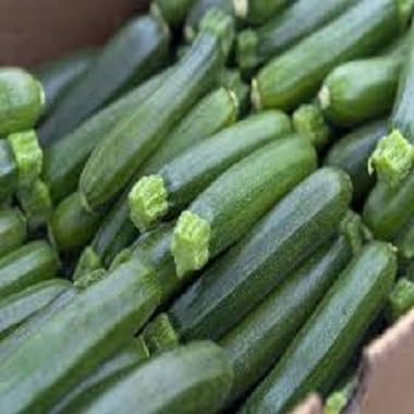 Squash Seeds – Heirloom, Non-GMO, High Germination Organic Garden Seeds Planting