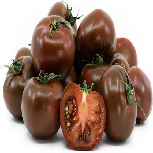 Brown Tomato Seeds – Heirloom, Non-GMO, High Germination Organic Garden Seeds Planting
