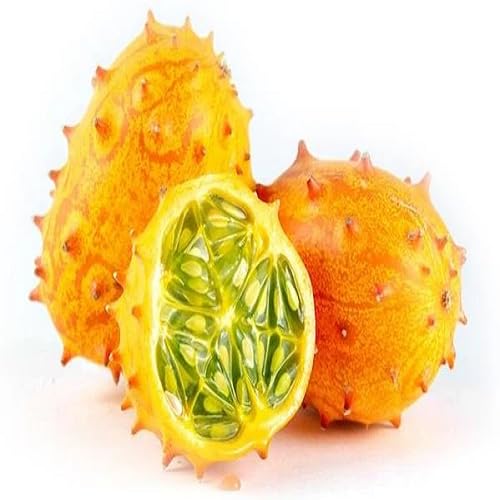 Kiwano Seeds – Heirloom, Non-GMO, High Germination Organic Garden Seeds