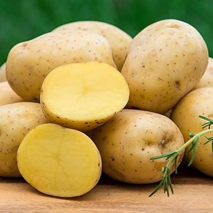 Brown Potato Seeds – Heirloom, Non-GMO, High Germination Organic Garden Seeds Planting