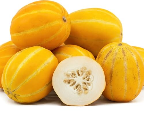 Semillas de melón Chamoe – Semillas de jardín orgánicas reliquia, no modificadas genéticamente, de alta germinación para plantar