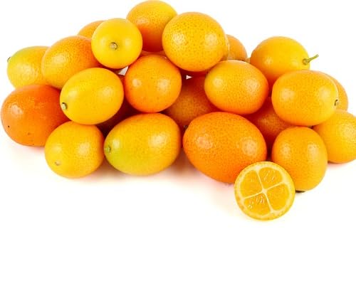 Kumquat Seeds – Heirloom, Non-GMO, High Germination Organic Garden Seeds