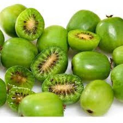 Kiwi Seeds Green – Heirloom, Non-GMO, High Germination Organic Garden Seeds