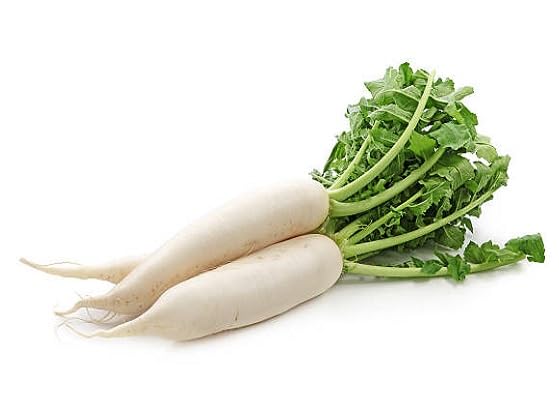 white radish heirloom non-gmo seeds