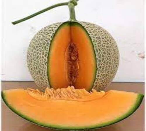Green Musk Melon Seeds – Heirloom, Non-GMO, High Germination Organic Garden Seeds