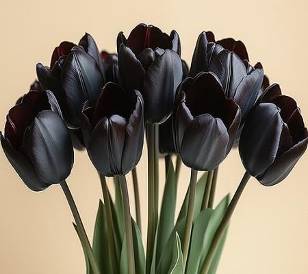 Tulip Perennial Flower Seeds for Planting – Heirloom, Non-GMO, High Germination