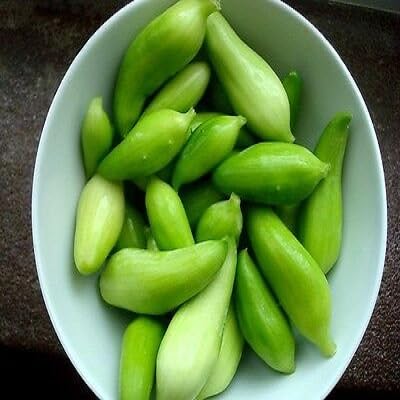 Achocha Seeds – Heirloom, Non-GMO, High Germination Organic Garden Seeds Planting
