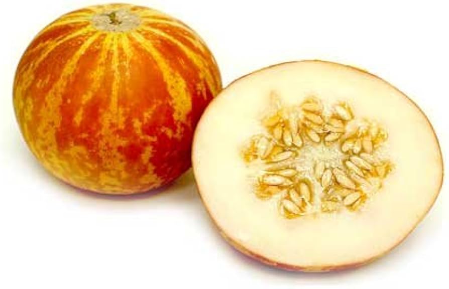 vietnam milk flower seeds