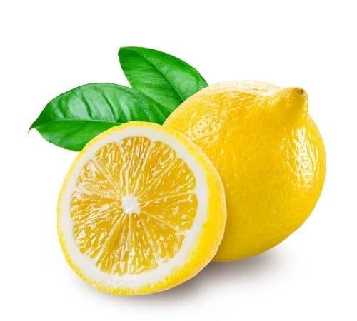 Lemon Seeds Yellow – Heirloom, Non-GMO, High Germination Organic Garden Seeds