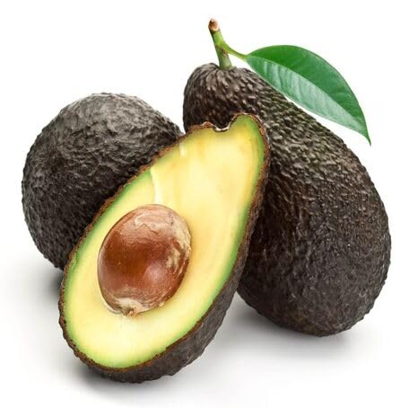 Black Avocado Seeds – Heirloom, Non-GMO, High Germination Organic Garden Seeds