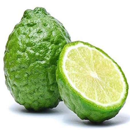 Semillas de kafir – Variedad tradicional, sin OGM, semillas orgánicas de alta germinación para jardín