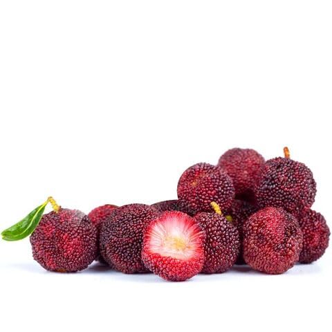 Bayberry Fruit Seeds – Heirloom, Non-GMO, High Germination Organic Garden Seeds