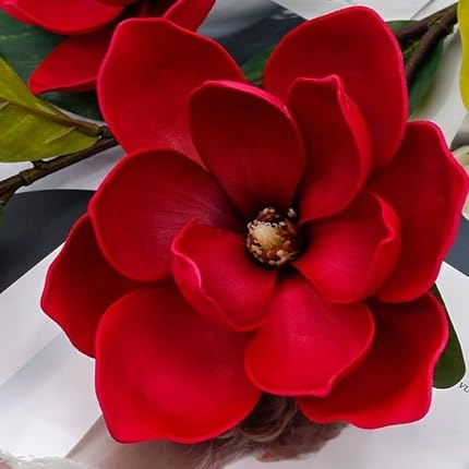 Red Magnolia Flower Seeds – Heirloom, Non-GMO, High Germination Organic Garden Seeds for Planting