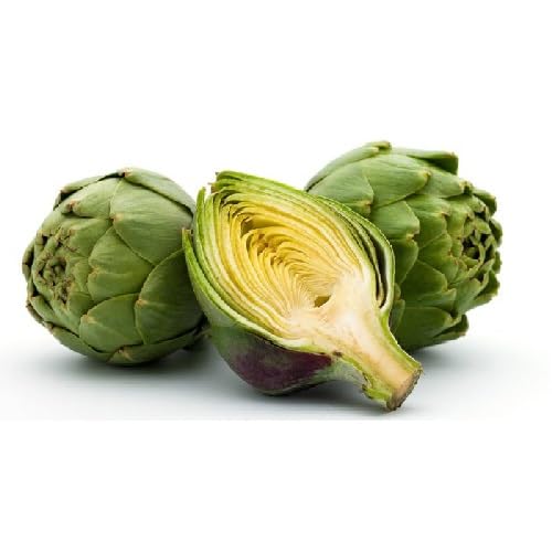 Green Artichoke Seeds – Heirloom, Non-GMO, High Germination Organic Garden Seeds Planting