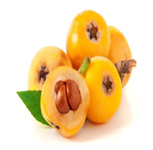 Yellow Loquat Seeds – Heirloom, Non-GMO, High Germination Organic Garden Seeds