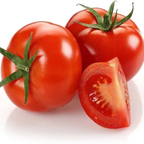 Red Tomato Seeds – Heirloom, Non-GMO, High Germination Organic Garden Seeds Planting