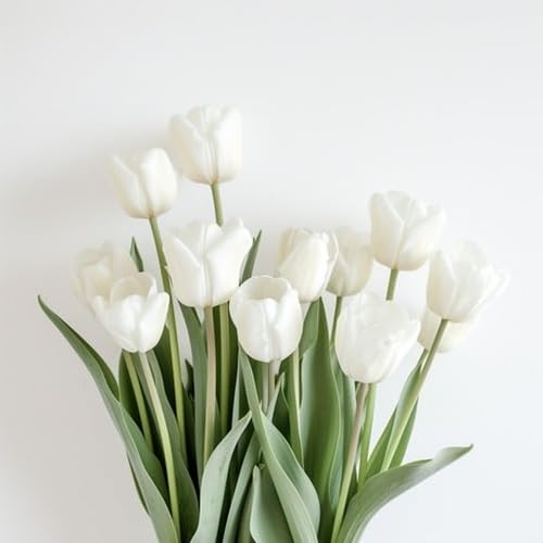 White Tulip Flower Seeds – Heirloom Non-GMO Organic Garden Seeds