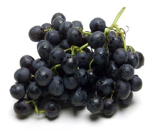 Grapes Seeds – Heirloom, Non-GMO, High Germination Organic Garden Seeds