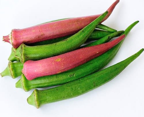 Mixed Okra Seeds – Heirloom, Non-GMO, High Germination Organic Garden Seeds Planting