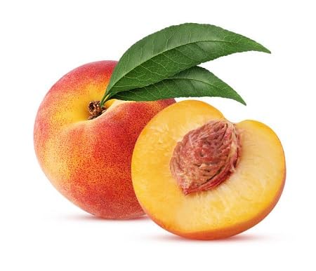 Peach Seeds Orange – Heirloom, Non-GMO, High Germination Organic Garden Seeds for Planting